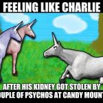 Charlie unicorn | FEELING LIKE CHARLIE; AFTER HIS KIDNEY GOT STOLEN BY A COUPLE OF PSYCHOS AT CANDY MOUNTAIN | image tagged in charlie unicorn | made w/ Imgflip meme maker