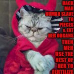 EVIL KITTY | I'LL HACK MAH HUMAN SLAVE TO PIECES & EAT HER ORGANS; THEN MEH USE THE REST OF HER TO FERTILIZE MAH CAT NIP! | image tagged in evil kitty | made w/ Imgflip meme maker