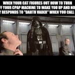 Darth Vader - Force choke | WHEN YOUR CAT FIGURES OUT HOW TO TURN OFF YOUR CPAP MACHINE TO WAKE YOU UP AND NOW ONLY RESPONDS TO "DARTH VADER" WHEN YOU CALL HIM. | image tagged in darth vader - force choke | made w/ Imgflip meme maker