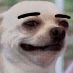 Thick eyebrows dog meme
