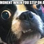 Eyes Wide Open Terrier | THAT MONENT WHEN YOU STEP ON A LEGO | image tagged in eyes wide open terrier | made w/ Imgflip meme maker