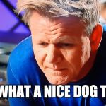 Gordon Ramsey | OH, WHAT A NICE DOG TURD | image tagged in gordon ramsey | made w/ Imgflip meme maker