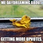 Yellow Daydreaming Monkey | ME DAYDREAMING ABOUT; GETTING MORE UPVOTES. | image tagged in yellow daydreaming monkey | made w/ Imgflip meme maker