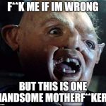 Sloth Goonies | F**K ME IF IM WRONG BUT THIS IS ONE HANDSOME MOTHERF**KER! | image tagged in sloth goonies | made w/ Imgflip meme maker