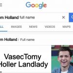 A Spider-Man by any other name... | Tom Holland; Tom Holland; VasecTomy Holler Landlady | image tagged in full name google,memes,funny,spiderman,tom holland | made w/ Imgflip meme maker