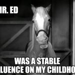 Mr. Ed | MR. ED; WAS A STABLE INFLUENCE ON MY CHILDHOOD | image tagged in mr ed | made w/ Imgflip meme maker