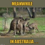 In Australia | MEANWHILE; IN AUSTRALIA . . . | image tagged in in australia,meanwhile in australia,kangaroo,kangaroos,australia,memes | made w/ Imgflip meme maker