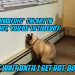 Hide, doggie! | *MUMBLING*  I’M NOT IN TIMEOUT, ‘YOU’RE’ IN TIMEOUT; JUST WAIT UNTIL I GET OUT, DOGGIE | image tagged in give up cat,memes,funny,timeout,coming to get you | made w/ Imgflip meme maker
