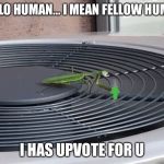 Mantis | HELLO HUMAN... I MEAN FELLOW HUMAN; I HAS UPVOTE FOR U | image tagged in bugs | made w/ Imgflip meme maker