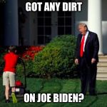 Trump yells at lawnmower kid | GOT ANY DIRT; ON JOE BIDEN? | image tagged in trump yells at lawnmower kid | made w/ Imgflip meme maker