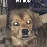 Mad Dog | ME: BLAH,BLAH,BLAH,VET; MY DOG: | image tagged in mad dog | made w/ Imgflip meme maker
