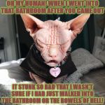 OH MY HUMAN | OH MY HUMAN! WHEN I WENT INTO THAT BATHROOM AFTER YOU CAME OUT; IT STUNK SO BAD THAT I WASN'T SURE IF I HAD JUST WALKED INTO THE BATHROOM OR THE BOWELS OF HELL! | image tagged in oh my human | made w/ Imgflip meme maker