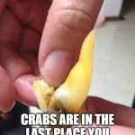 Crabs! | CAREFUL. CRABS ARE IN THE LAST PLACE YOU MIGHT THINK TO FIND'EM | image tagged in crabs | made w/ Imgflip meme maker