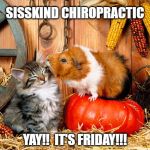 Yay!!  It's Friday!!! | SISSKIND CHIROPRACTIC; YAY!!  IT'S FRIDAY!!! | image tagged in yay it's friday | made w/ Imgflip meme maker