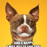 Dog Smile | AND A HAPPY SMILE DAY TO YOU TOO! | image tagged in dog smile | made w/ Imgflip meme maker