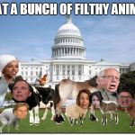 What A Bunch Of Animals | WHAT A BUNCH OF FILTHY ANIMALS | image tagged in what a bunch of animals | made w/ Imgflip meme maker