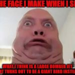 FACE I MAKE | THE FACE I MAKE WHEN I SEE; WHAT I THINK IS A LARGE BOMBER JET THAT TURNS OUT TO BE A GIANT BIRD INSTEAD! | image tagged in face i make | made w/ Imgflip meme maker