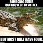 crocodile | SOME CROCODILES CAN GROW UP TO 20 FEET. BUT MOST ONLY HAVE FOUR. | image tagged in crocodile | made w/ Imgflip meme maker