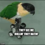 they see me rollin', they hatin' | THEY SEE ME ROLLIN' THEY HATIN' | image tagged in gifs,funny memes | made w/ Imgflip video-to-gif maker