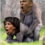 Cory Booker and Maxine Waters