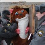 Furry gets arrested