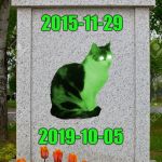 R.I.P. RayCat | RayCat 2015-11-29 2019-10-05 | image tagged in blank gravestone,raycat,three dancing raycats,hypno raycat,i should buy a boat raycat,raycat save the world | made w/ Imgflip meme maker