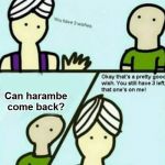 That one's on all of us | Can harambe come back? | image tagged in you have 3 wishes,harambe,rip | made w/ Imgflip meme maker