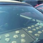 Only in California. But are the cookies non-GMO, gluten free and vegan? | GETTING BAKED IN THE CAR LATER; HAVE THE MUNCHIES READY | image tagged in car baking,memes,california,smoking weed,marijuana,munchies | made w/ Imgflip meme maker