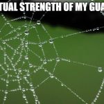 Spider Web | ACTUAL STRENGTH OF MY GUARD | image tagged in spider web,jiu jitsu,mma | made w/ Imgflip meme maker