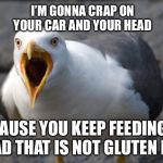 Birds want gluten free bread | I’M GONNA CRAP ON YOUR CAR AND YOUR HEAD; BECAUSE YOU KEEP FEEDING ME BREAD THAT IS NOT GLUTEN FREE! | image tagged in angry seagull,memes,food,bird,gluten free,mad | made w/ Imgflip meme maker