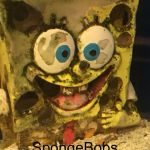 Spongebod on crack | Damn; SpongeBobs on something | image tagged in spongebod on crack | made w/ Imgflip meme maker