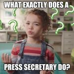 Press Secretary | WHAT EXACTLY DOES A; PRESS SECRETARY DO? | image tagged in press secretary | made w/ Imgflip meme maker