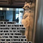DOG DID IT | NO NO HUMAN I DIDN'T GET STUCK HER BECAUSE I WAS GETTING UP HERE TO TRY TO GET INTO THE FRIDGE & STEAL THE TUNA STEAK; THAT DOG STUFFED ME IN HERE & AT GUNPOINT TOLD ME TO GET IT FOR HIM I SWEAR! US CATS DON'T EVEN LIKE TUNA. | image tagged in dog did it | made w/ Imgflip meme maker