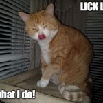 Can you lick your nose? Meow Cute Cat | LICK LICK; is what I do! | image tagged in can you lick your nose meow cute cat | made w/ Imgflip meme maker