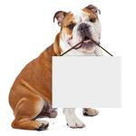 Bulldog holding blank sign meme
