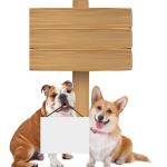 Dogs holding blank sign edit text.