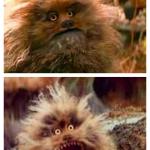 Freakout Fizzgig