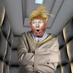 Trump insane strait jacket rubber room meme