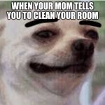 Thick eyebrows dog | WHEN YOUR MOM TELLS YOU TO CLEAN YOUR ROOM | image tagged in thick eyebrows dog | made w/ Imgflip meme maker