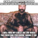 Hairy man | IF MEME_LAUGHURPEEPEE INSTAGRAM PAGE CAN GET 10K FOLLOWS BY END OF OCTOBER; I WILL WAX MY CHEST ON LIVE VIDEO. TAG EVERYONE YOU KNOW . BRING IT ON | image tagged in hairy man | made w/ Imgflip meme maker