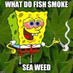 Weed | WHAT DO FISH SMOKE SEA WEED | image tagged in weed | made w/ Imgflip meme maker