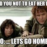 Mordor | SAM: I TOLD YOU NOT TO EAT HER ICE-CREAM; FRODO: ... LETS GO HOME SAM | image tagged in mordor | made w/ Imgflip meme maker