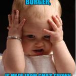 confused cutie | MY "MEATLESS," BURGER, IS MADE FROM GMO'S GROWN WITH ROUNDUP AND PESTICIDES. | image tagged in confused cutie | made w/ Imgflip meme maker