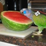 Parrot melon | DIETS; US | image tagged in parrot melon | made w/ Imgflip meme maker