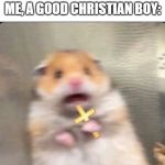 shook christian hamster | ME, A GOOD CHRISTIAN BOY:; HER: OH COME ONE, NO ONE WILL EVER KNOW ;) | image tagged in shook christian hamster | made w/ Imgflip meme maker