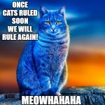 Blue cat | ONCE CATS RULED SOON WE WILL RULE AGAIN! MEOWHAHAHA | image tagged in blue cat | made w/ Imgflip meme maker