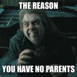 THE REASON; YOU HAVE NO PARENTS | image tagged in harry potter | made w/ Imgflip meme maker