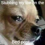 crying chihuahua | Stubbing my toe on the; Bed post... | image tagged in crying chihuahua | made w/ Imgflip meme maker