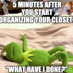 Frog messy room | 5 MINUTES AFTER YOU START ORGANIZING YOUR CLOSET. "WHAT HAVE I DONE?" | image tagged in frog messy room | made w/ Imgflip meme maker