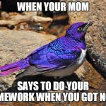 Amethyst Starling | WHEN YOUR MOM; SAYS TO DO YOUR HOMEWORK WHEN YOU GOT NONE | image tagged in amethyst starling | made w/ Imgflip meme maker